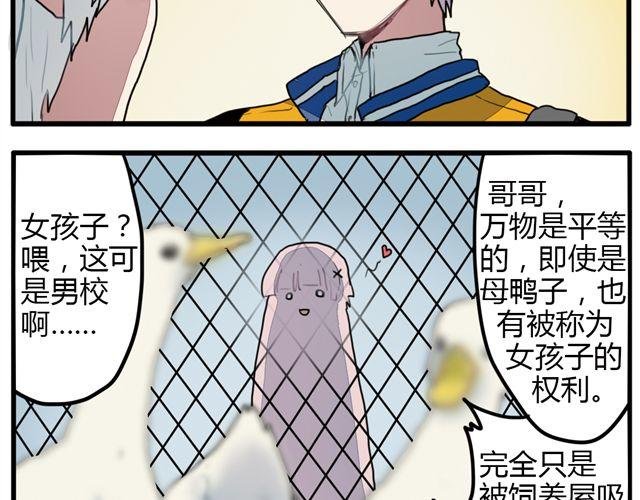 第7话 为什么蛋不见了！