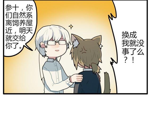 第7话 为什么蛋不见了！