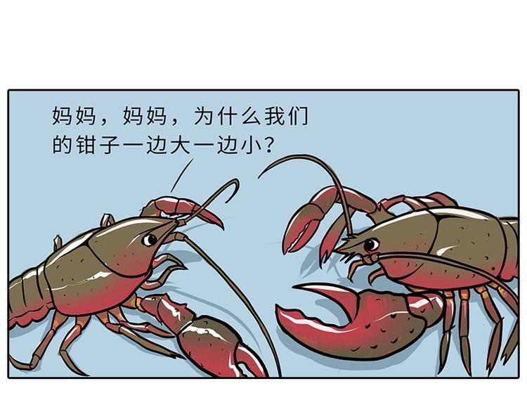 小龙虾（1）