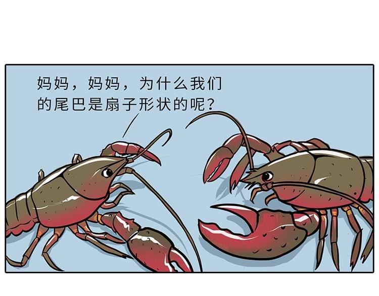 小龙虾（1）