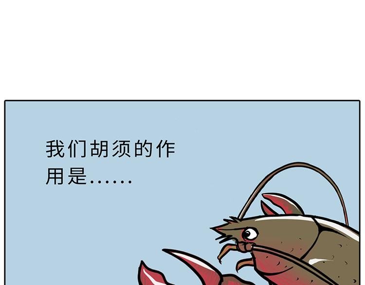 小龙虾（1）