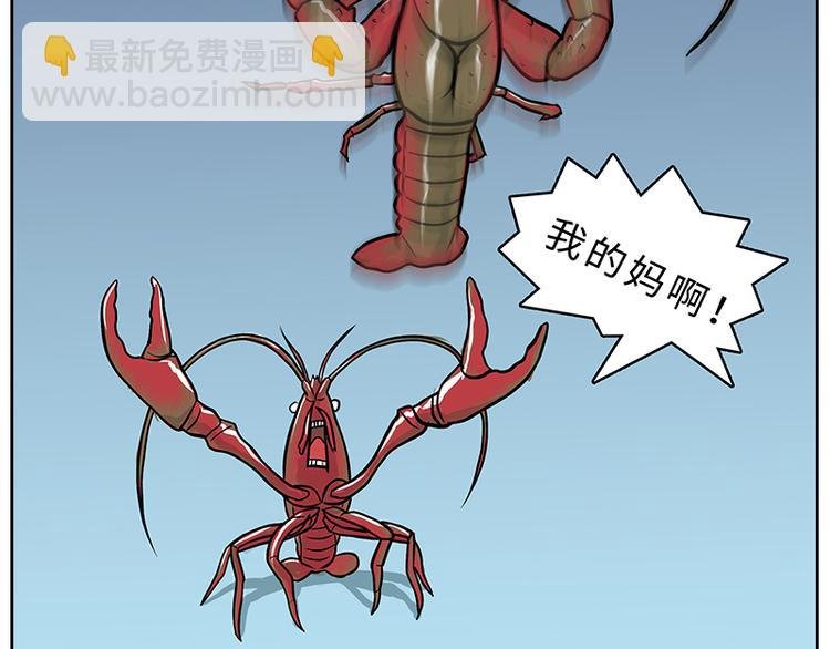 小龙虾（1）