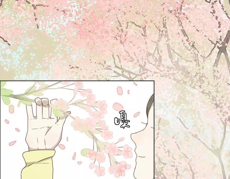 第13话 法宝之争