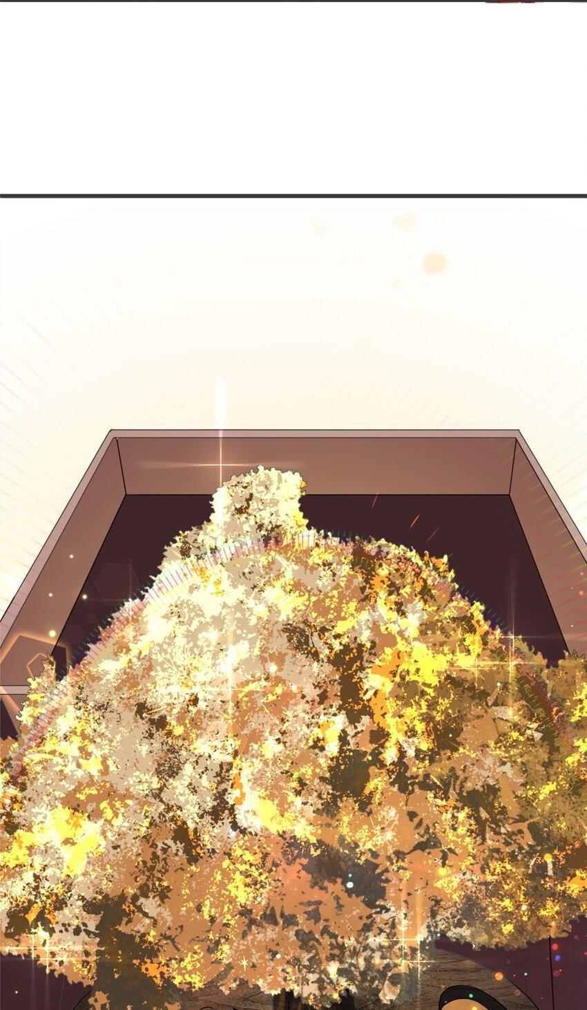 004 第四话 萌新寻梦记
