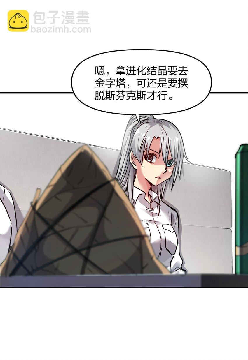 11 分析