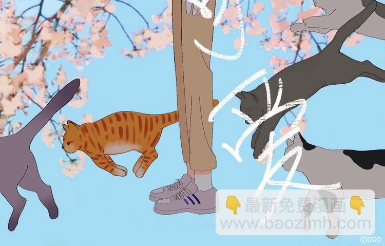19 下 晚安