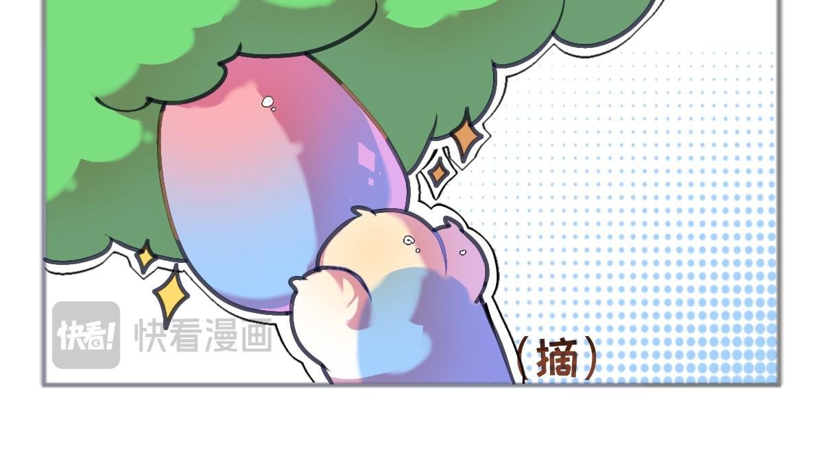 第十五话 货币规则