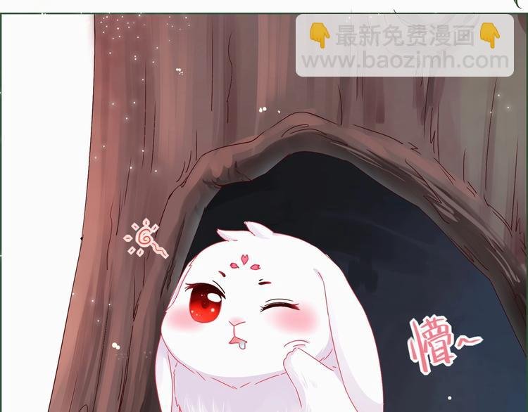 第1话 我被命运砸中了头