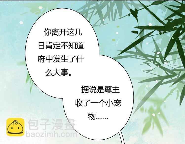 第11话 原来兔子急了真的会咬人