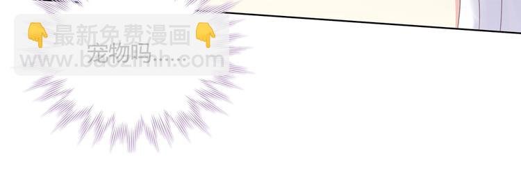 第11话 原来兔子急了真的会咬人
