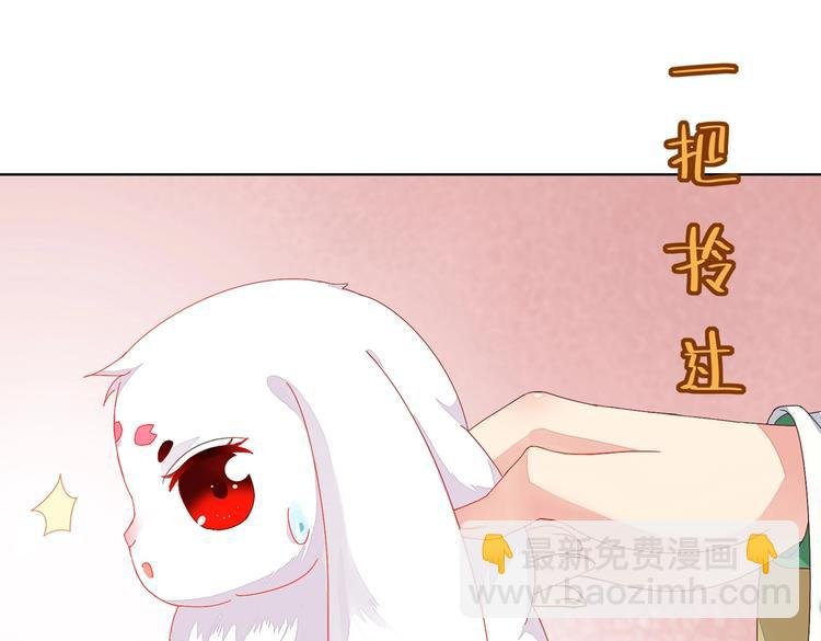第11话 原来兔子急了真的会咬人