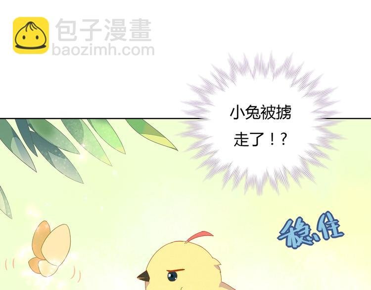 第13话 蛇能吃胡萝卜吗？