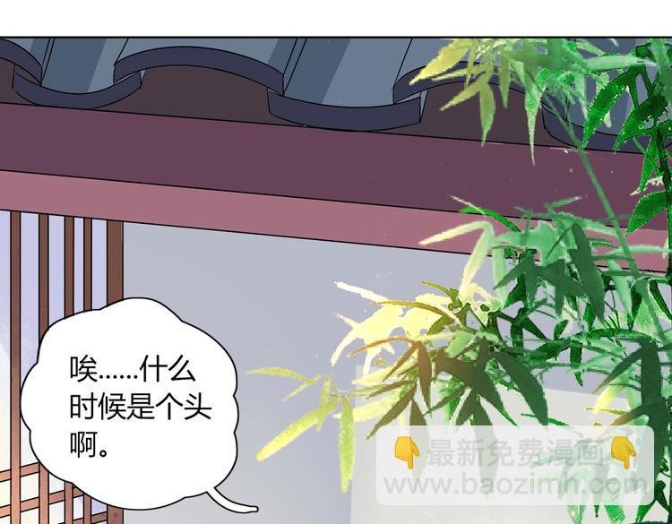 第14话 蠢兔兔的逃跑计划