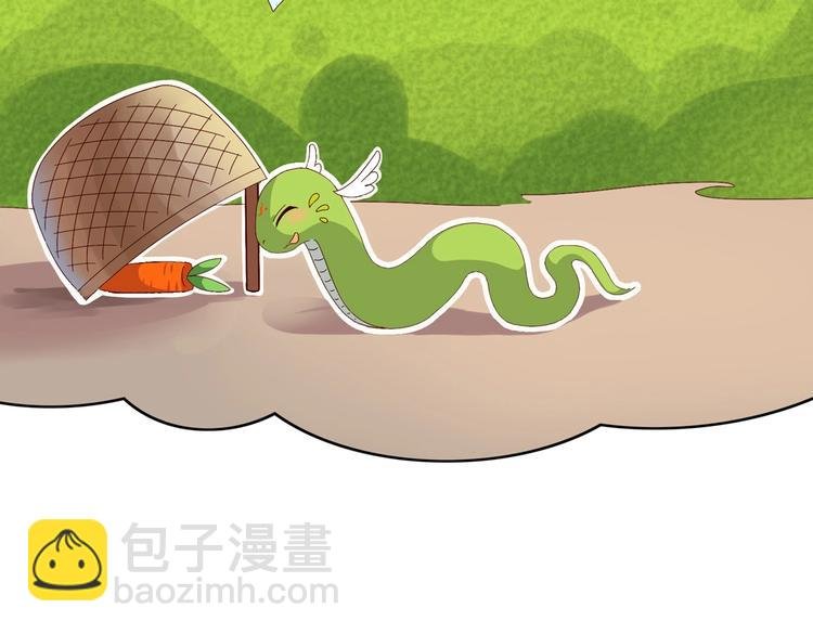 第14话 蠢兔兔的逃跑计划