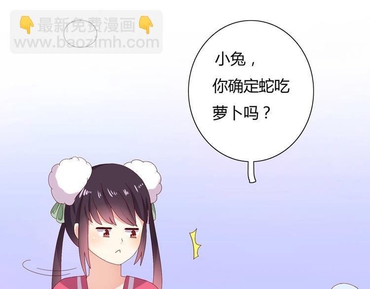 第14话 蠢兔兔的逃跑计划