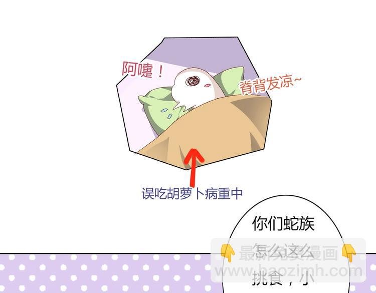 第14话 蠢兔兔的逃跑计划