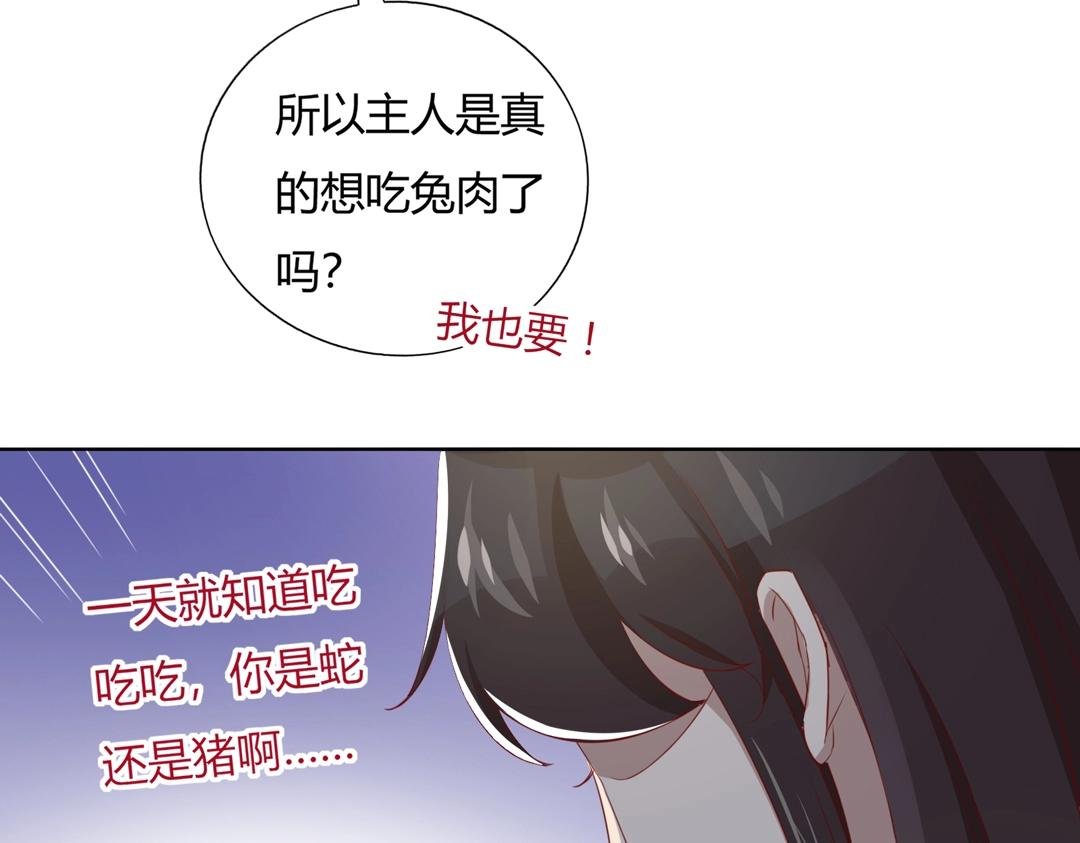 第146话 没有白小兔？