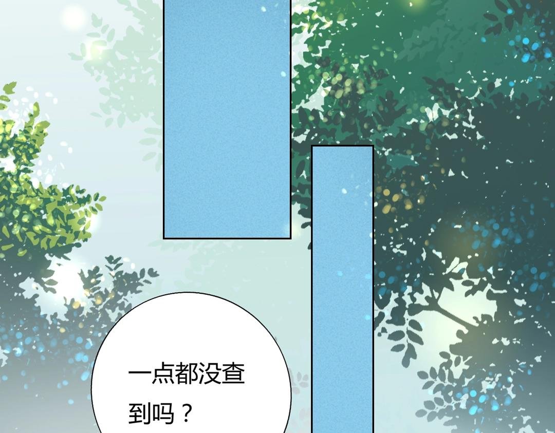 第146话 没有白小兔？