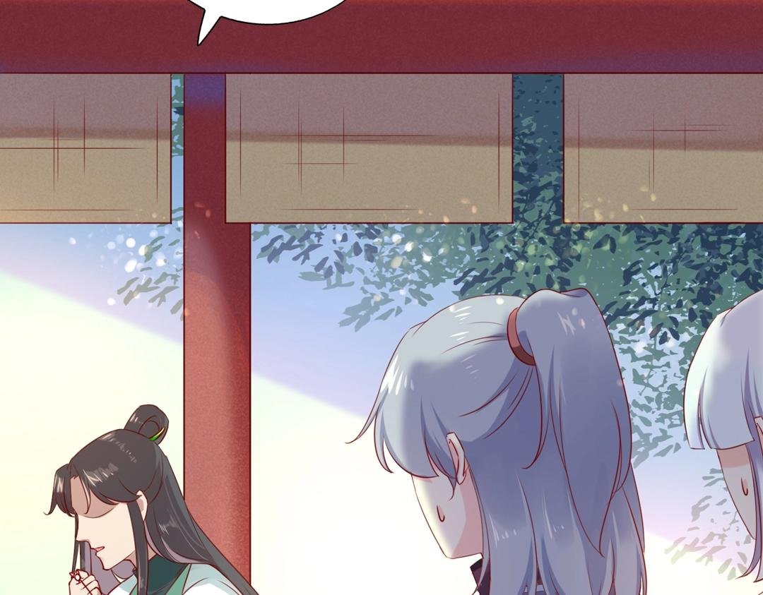 第146话 没有白小兔？