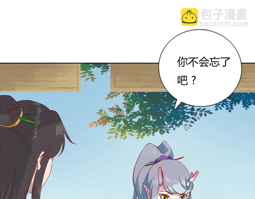 第146话 没有白小兔？