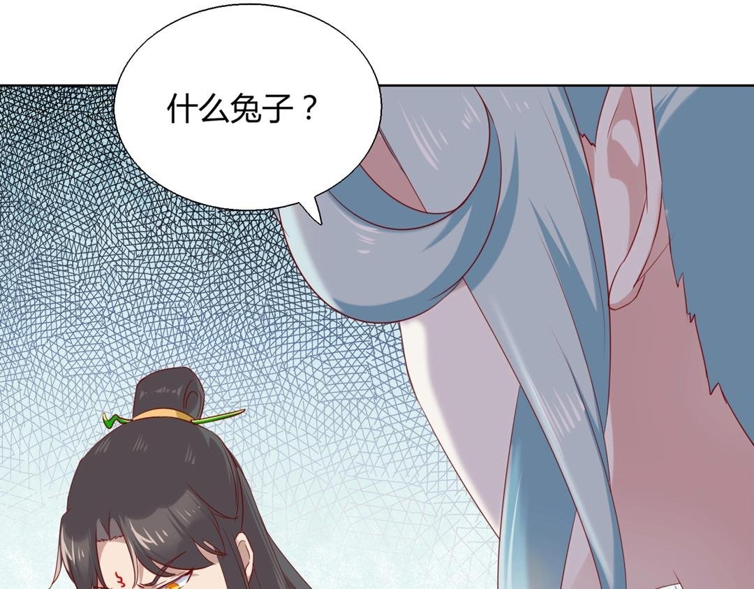 第146话 没有白小兔？