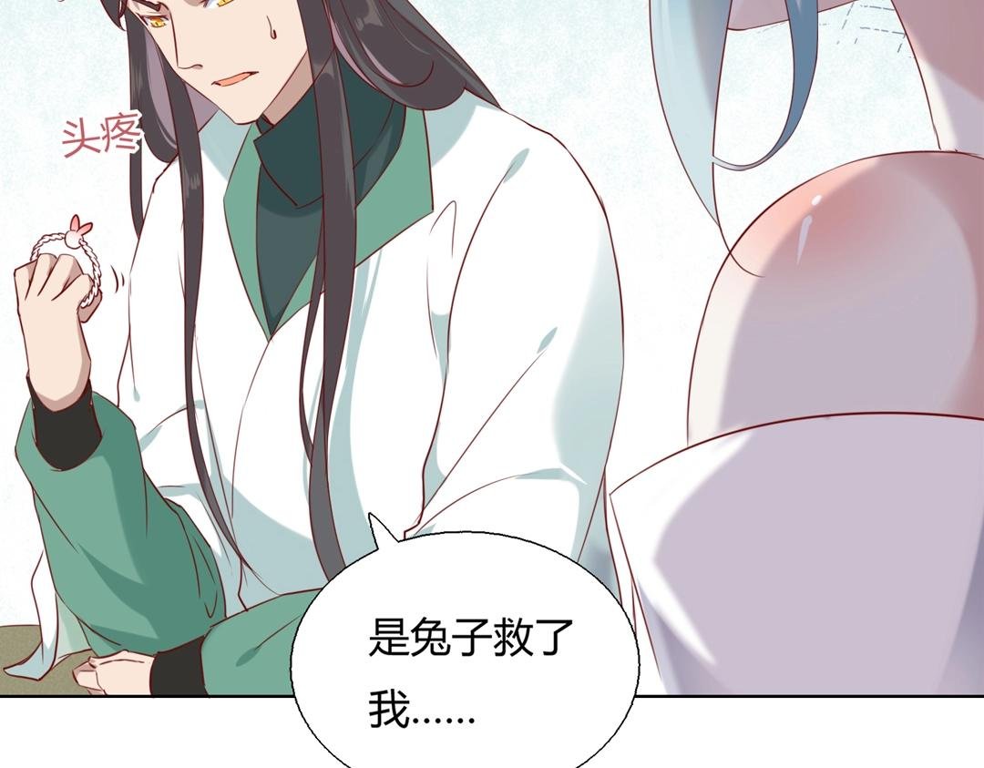 第146话 没有白小兔？
