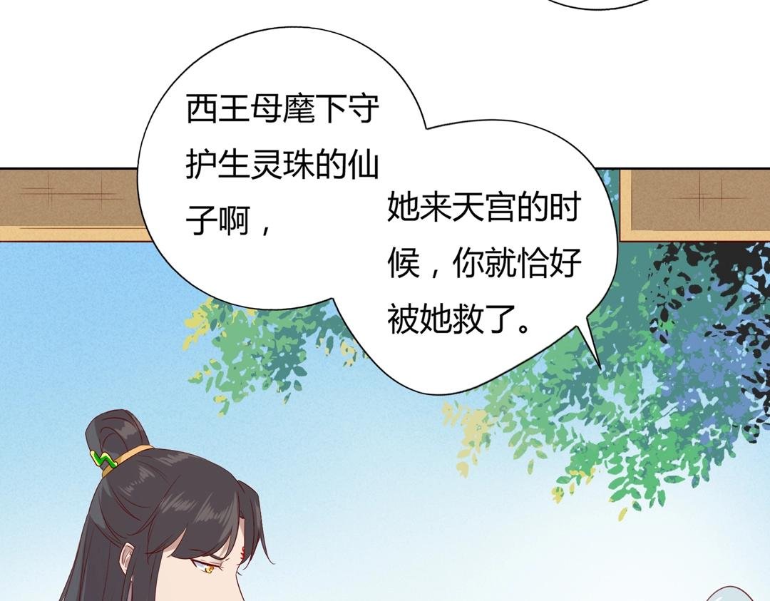 第146话 没有白小兔？