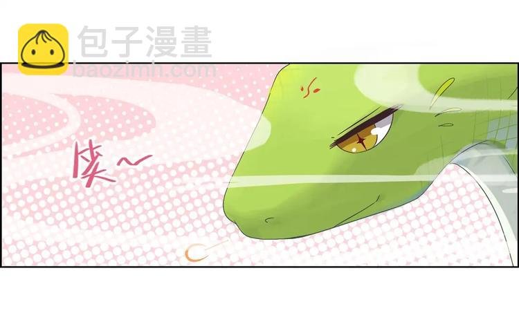 第2话 蛇兔一窝的日子