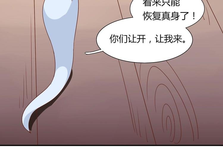 第24话 可怜的兔兔又要逃跑啦