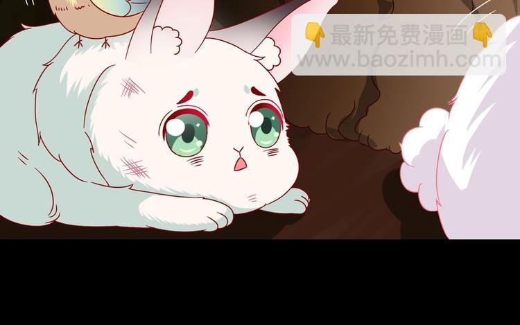 第26话 兔兔的方向感？