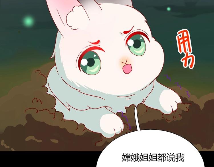 第26话 兔兔的方向感？