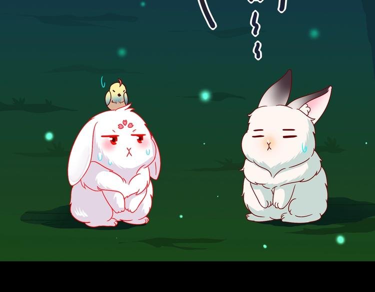 第26话 兔兔的方向感？