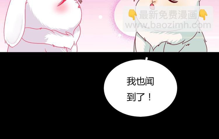 第26话 兔兔的方向感？