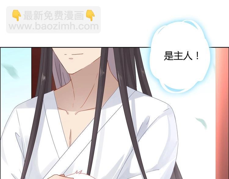 第3话 折寿了，蛇不吃兔啦