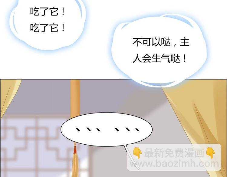 第3话 折寿了，蛇不吃兔啦