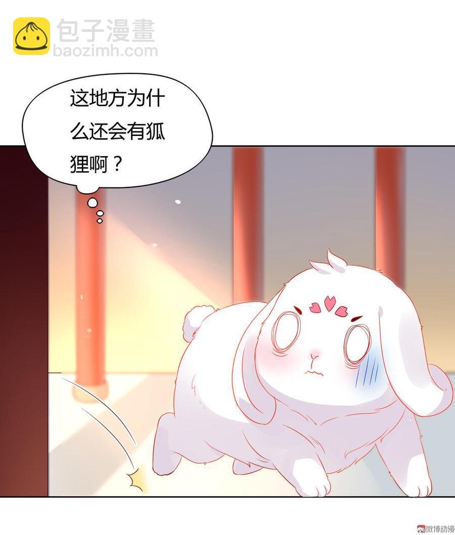 第59话 最萌CP来了