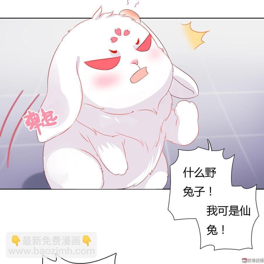 第59话 最萌CP来了