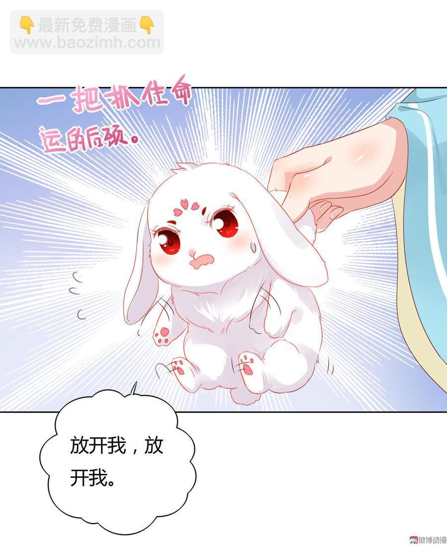 第59话 最萌CP来了