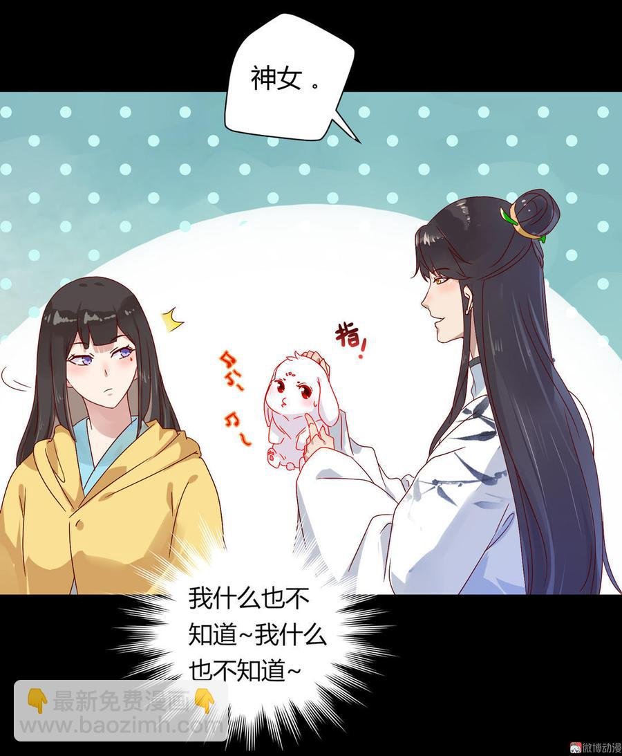 第62话 兔子果然适合圈养