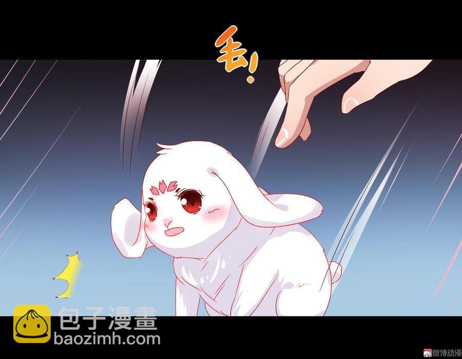 第62话 兔子果然适合圈养