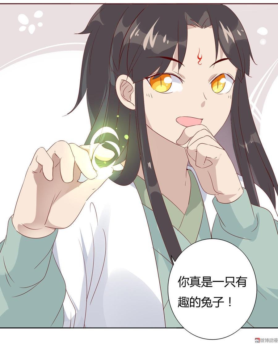 第89话 以后养只兔兔
