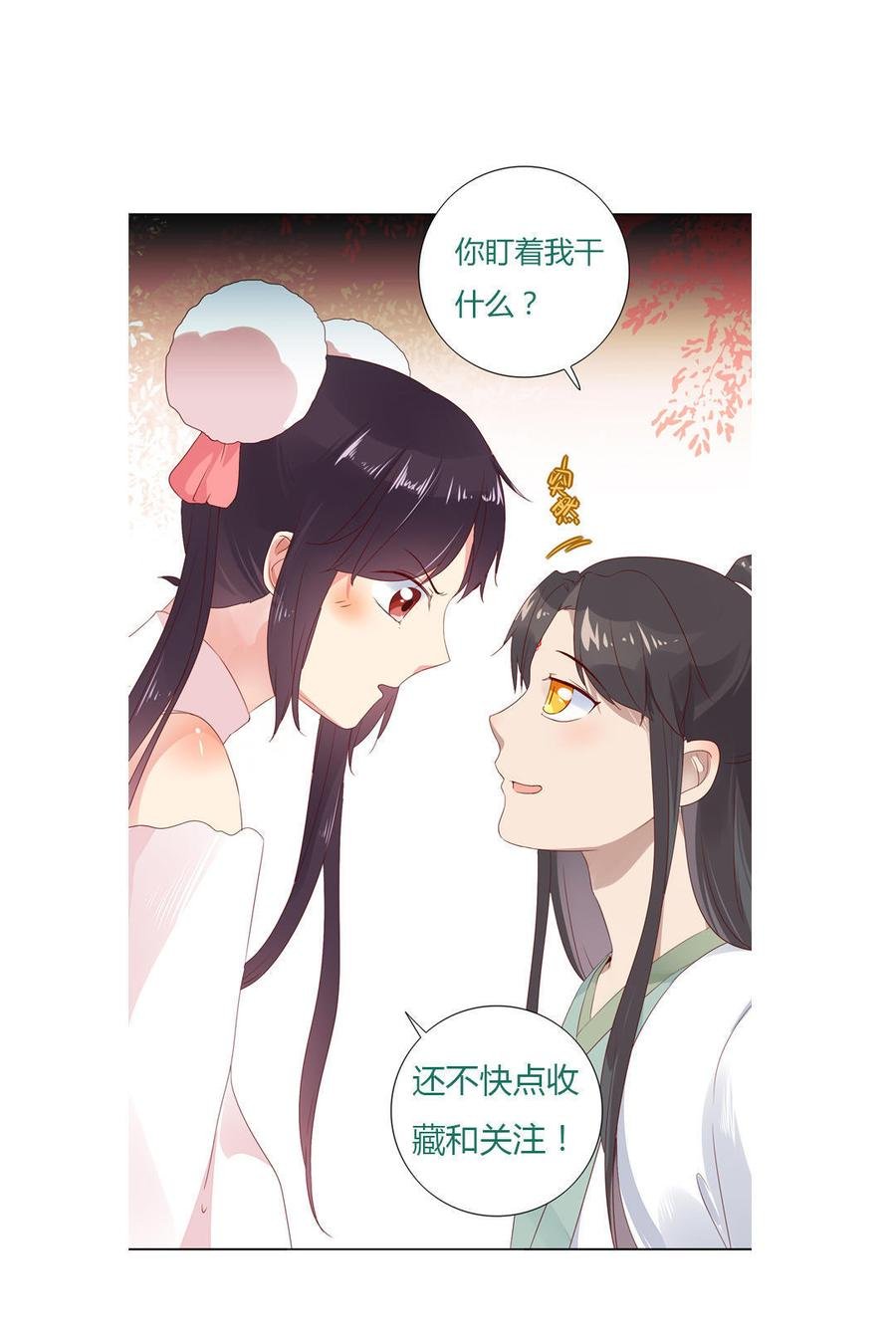 第89话 以后养只兔兔
