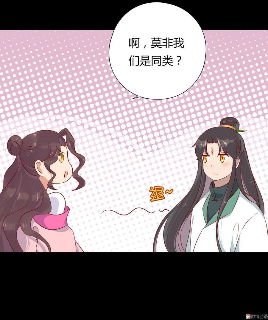 第98话 我只是想要我的兔子