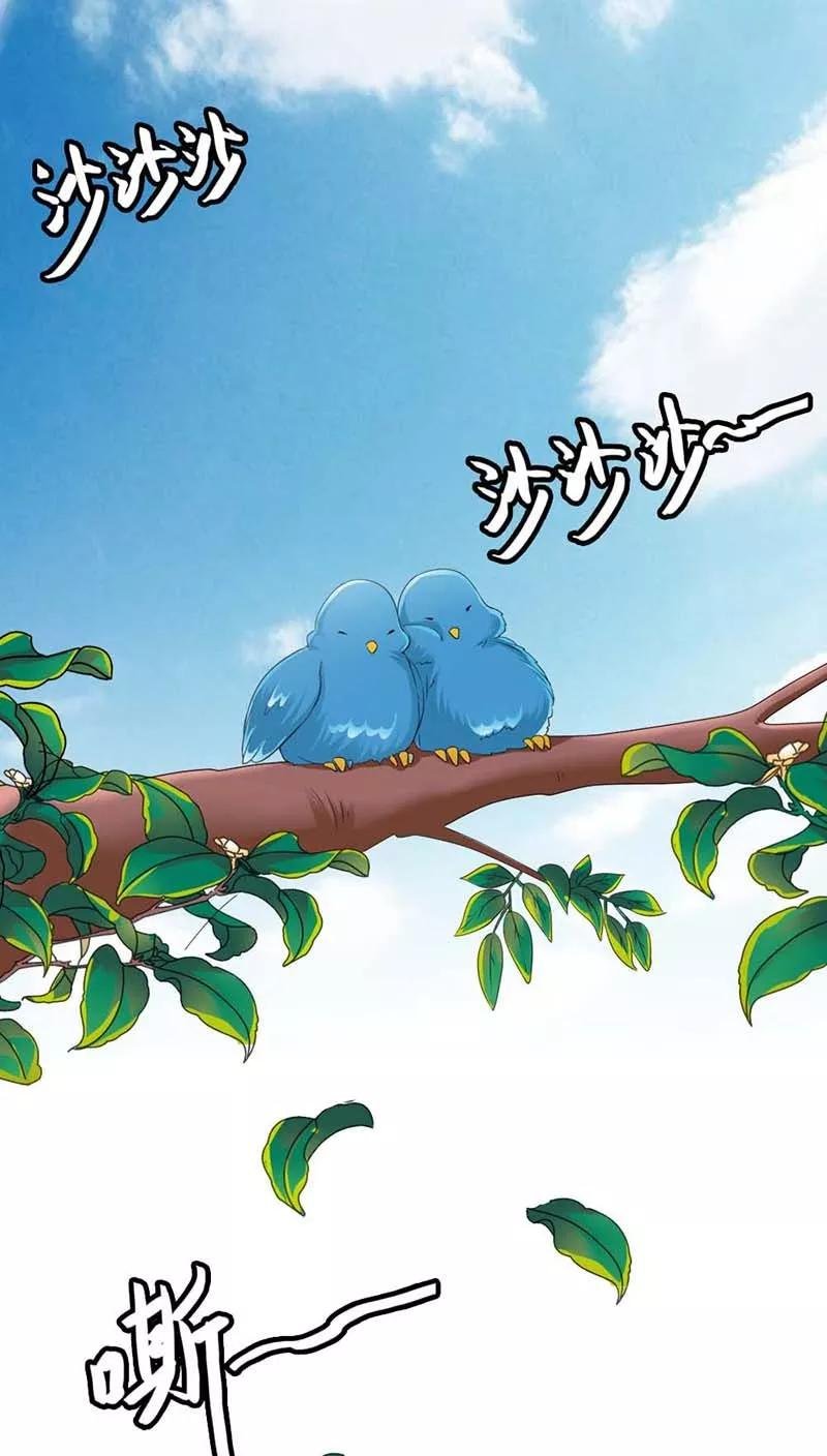 第3季11话 躲猫猫