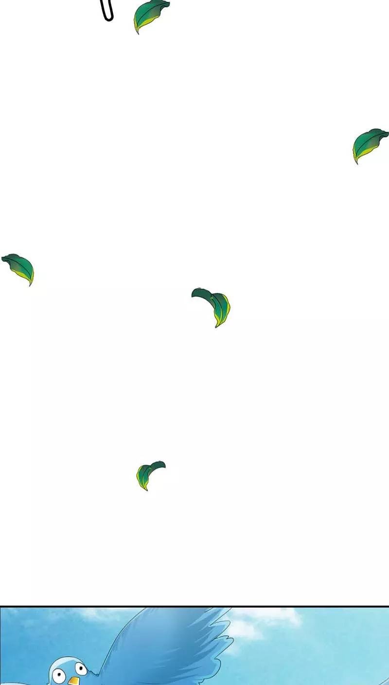 第3季11话 躲猫猫