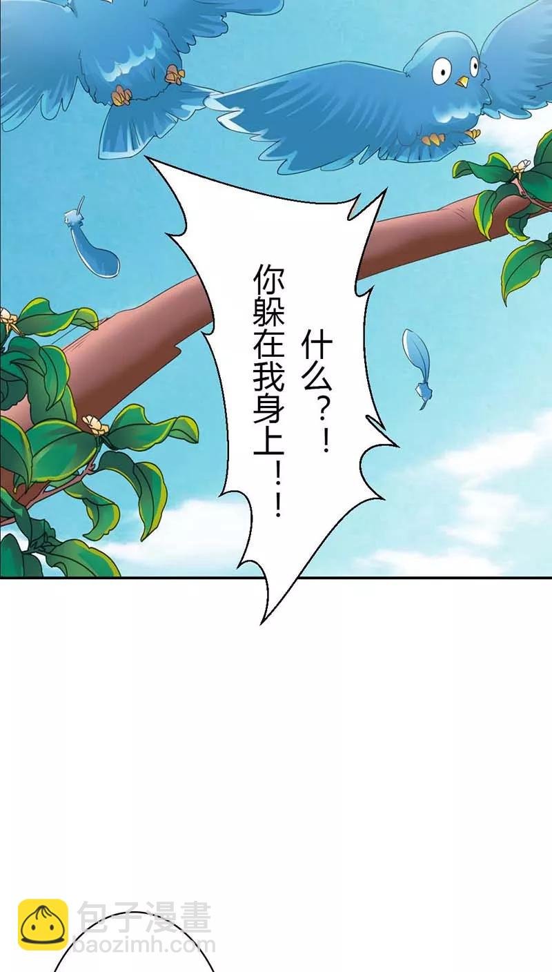 第3季11话 躲猫猫