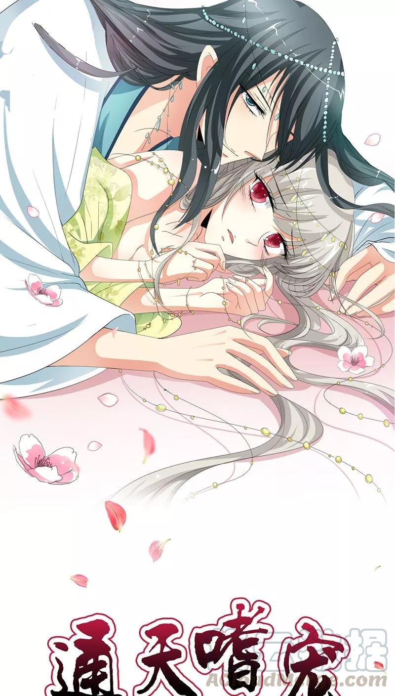 第3季15话 万能月饼