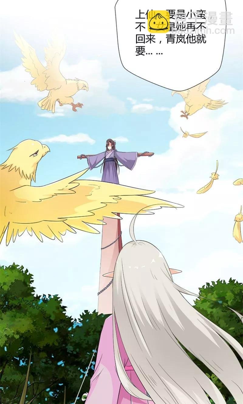 第3季52话 小蛮快回来吧！