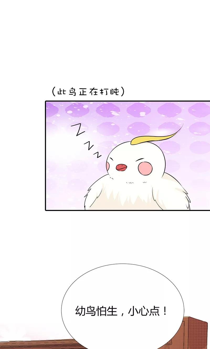 第3季56话 情缘树