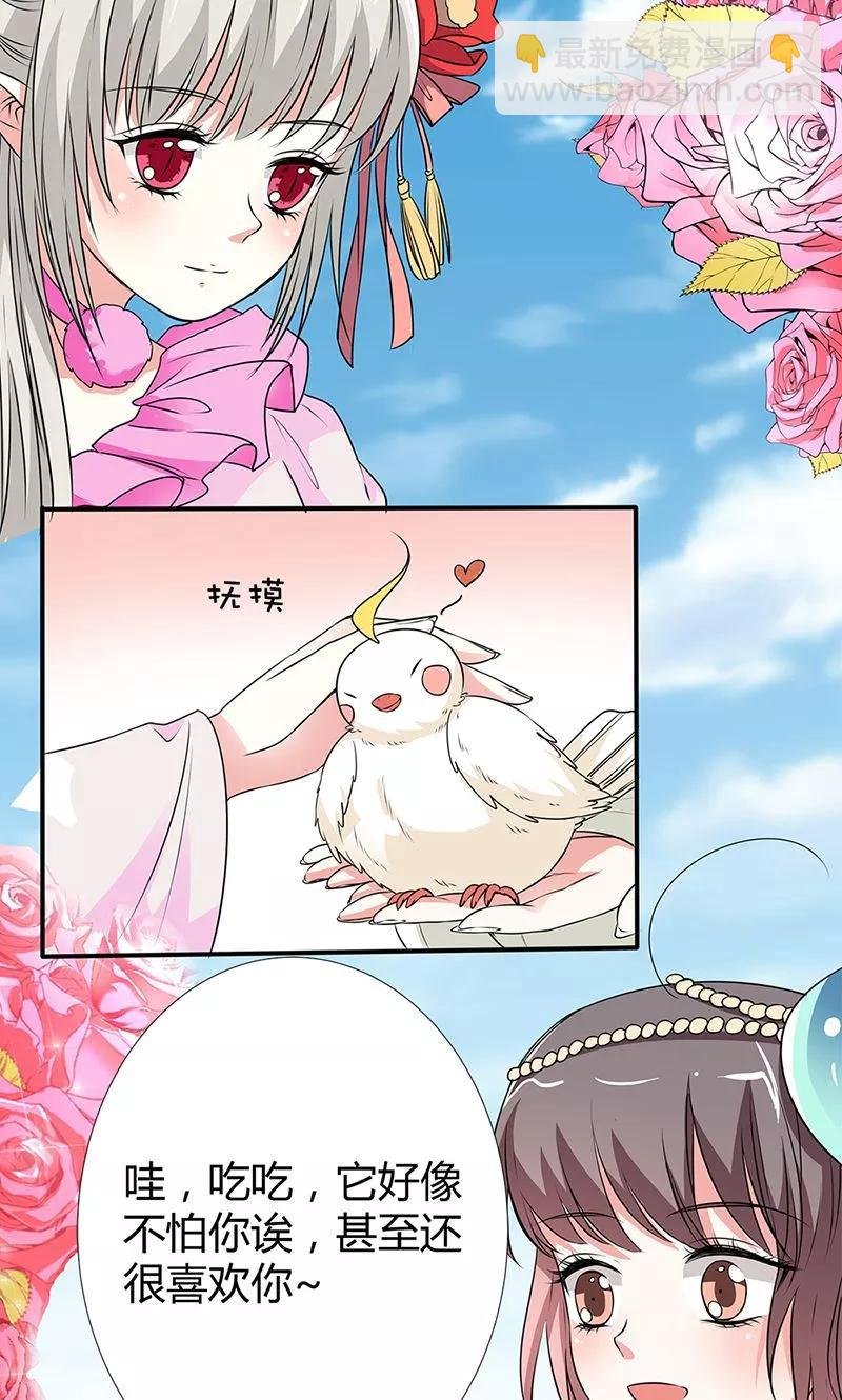 第3季56话 情缘树